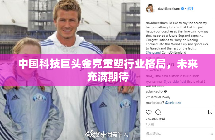 中国科技巨头金克重塑行业格局，未来充满期待