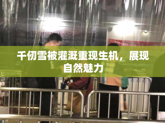 千仞雪被灌溉重现生机，展现自然魅力