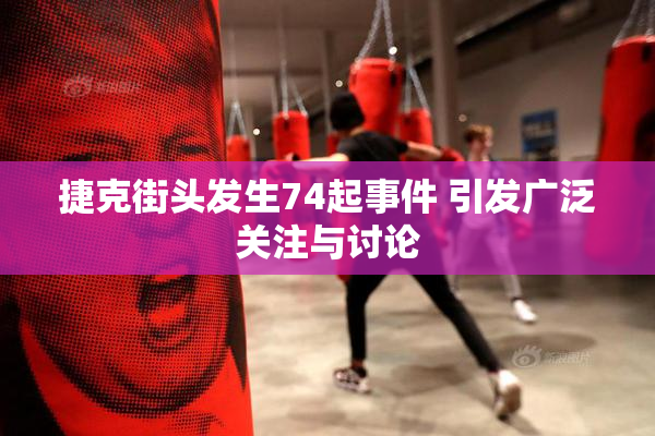 捷克街头发生74起事件 引发广泛关注与讨论