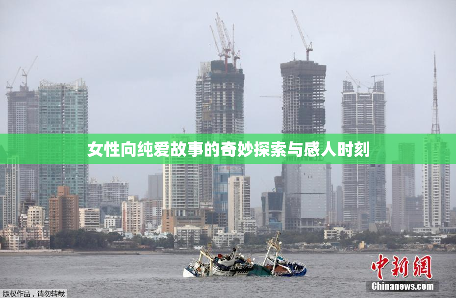 女性向纯爱故事的奇妙探索与感人时刻