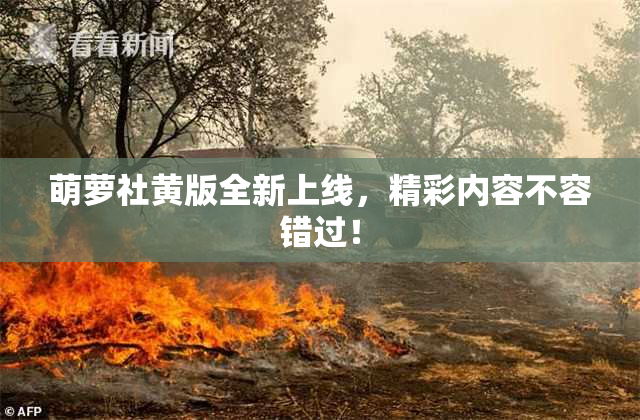 萌萝社黄版全新上线，精彩内容不容错过！