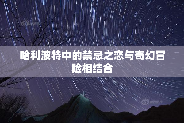 哈利波特中的禁忌之恋与奇幻冒险相结合