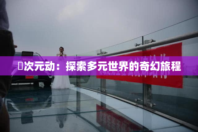 囧次元动：探索多元世界的奇幻旅程