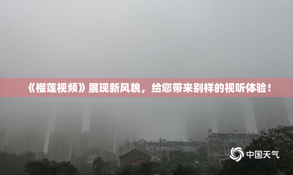 《榴莲视频》展现新风貌，给您带来别样的视听体验！