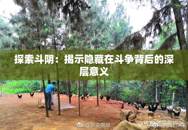 探索斗阴：揭示隐藏在斗争背后的深层意义