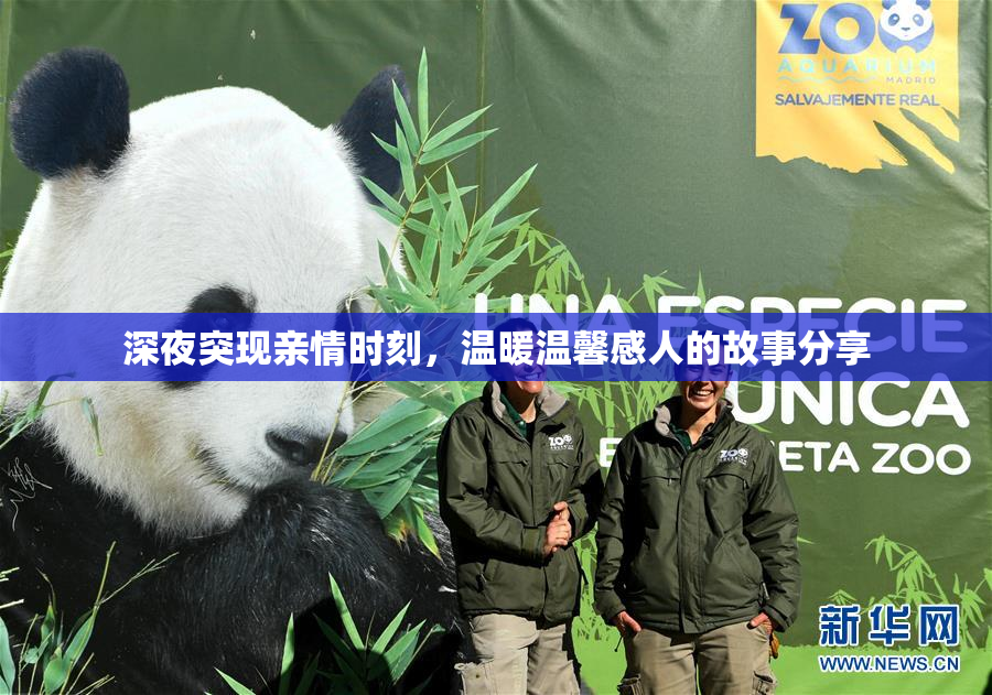 深夜突现亲情时刻，温暖温馨感人的故事分享