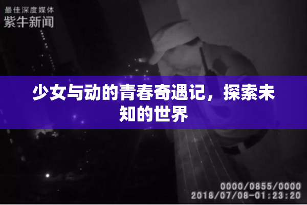 少女与动的青春奇遇记，探索未知的世界