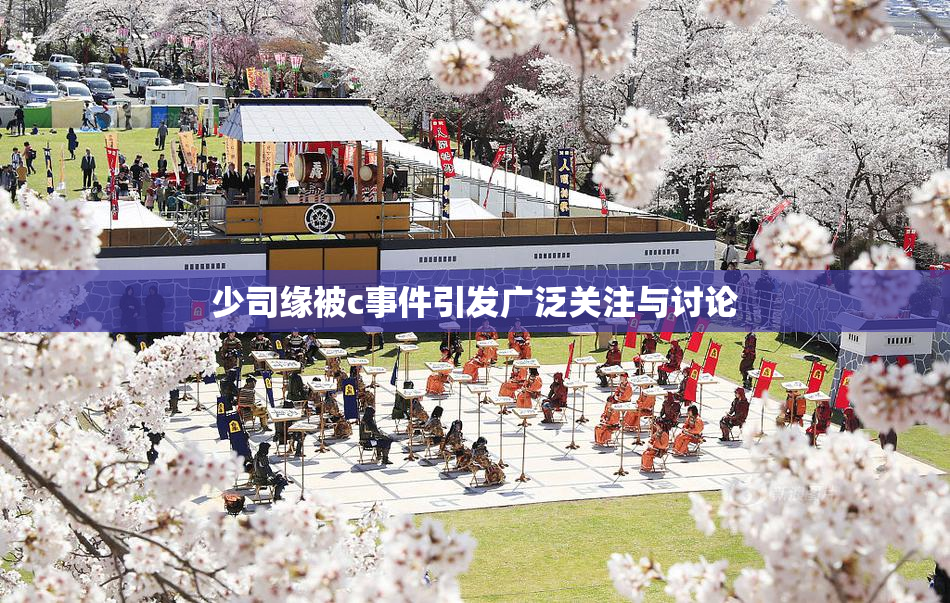 少司缘被c事件引发广泛关注与讨论