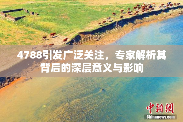 4788引发广泛关注，专家解析其背后的深层意义与影响