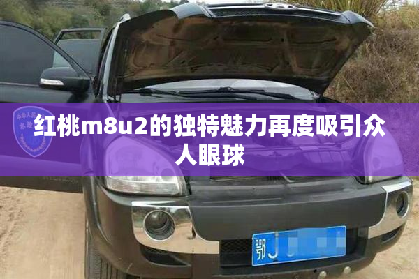 红桃m8u2的独特魅力再度吸引众人眼球