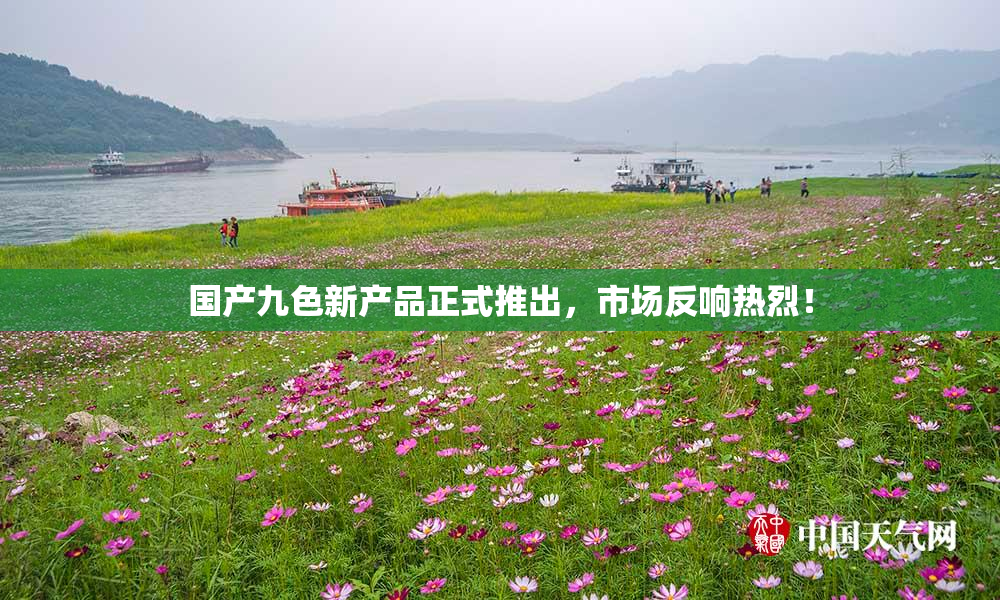 国产九色新产品正式推出，市场反响热烈！