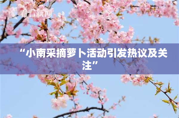 “小南采摘萝卜活动引发热议及关注”