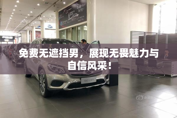 免费无遮挡男，展现无畏魅力与自信风采！