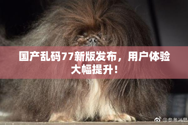 国产乱码77新版发布，用户体验大幅提升！