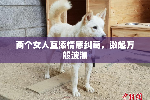 两个女人互添情感纠葛，激起万般波澜