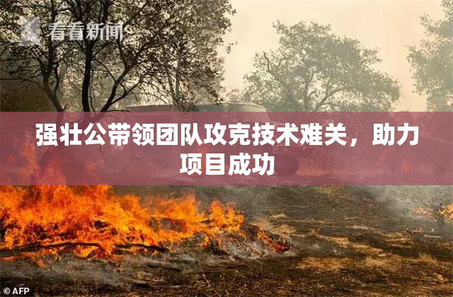 强壮公带领团队攻克技术难关，助力项目成功