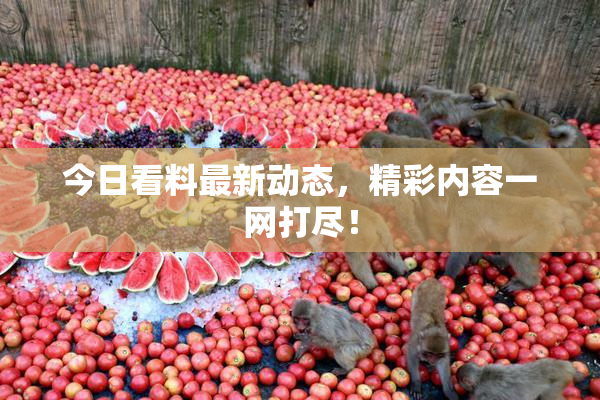 今日看料最新动态，精彩内容一网打尽！