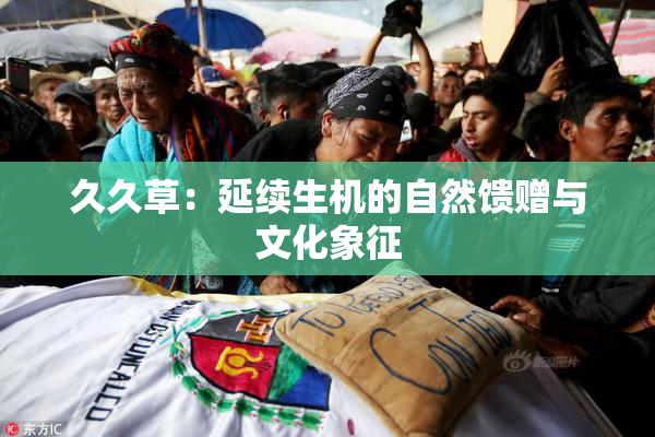 久久草：延续生机的自然馈赠与文化象征