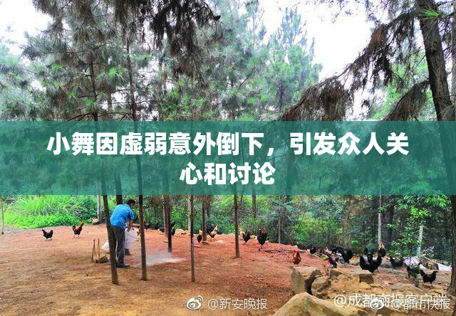 小舞因虚弱意外倒下，引发众人关心和讨论