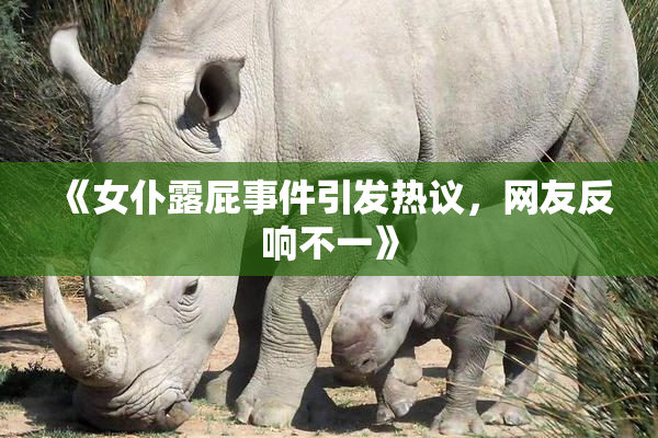 《女仆露屁事件引发热议，网友反响不一》