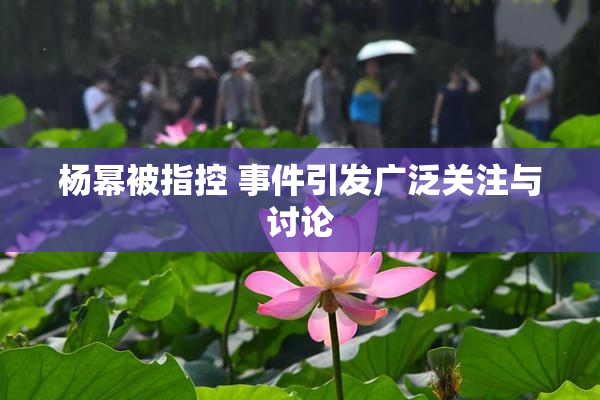 杨幂被指控 事件引发广泛关注与讨论