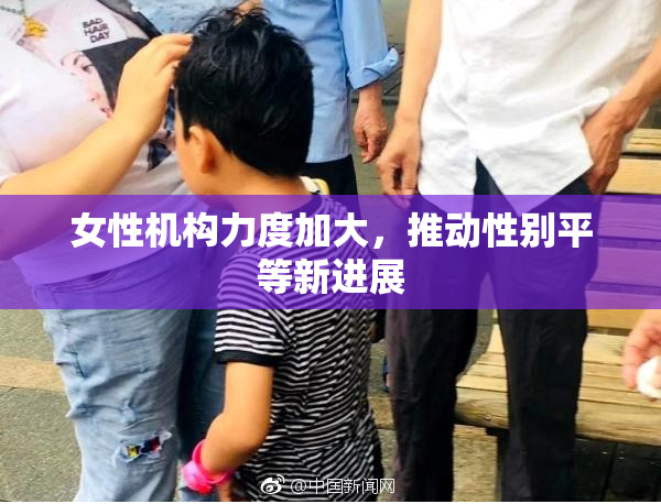 女性机构力度加大，推动性别平等新进展