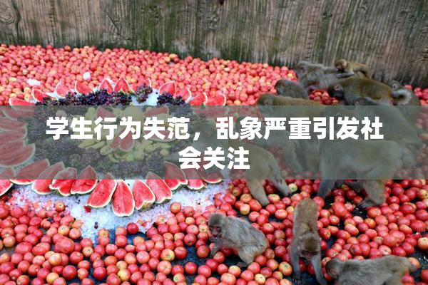 学生行为失范，乱象严重引发社会关注
