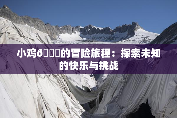 小鸡🐔的冒险旅程：探索未知的快乐与挑战