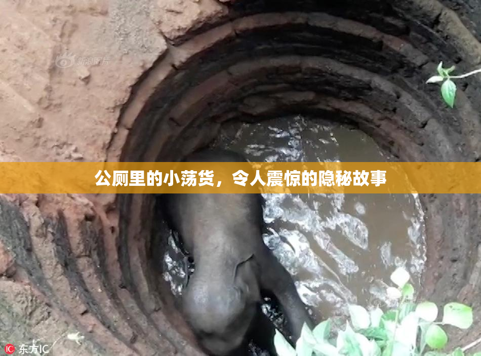 公厕里的小荡货，令人震惊的隐秘故事