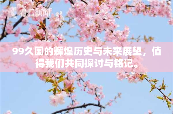 99久国的辉煌历史与未来展望，值得我们共同探讨与铭记。