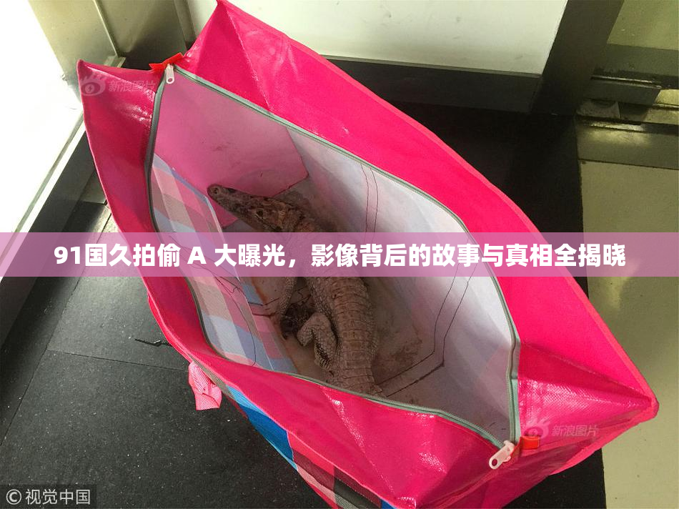 91国久拍偷 A 大曝光，影像背后的故事与真相全揭晓