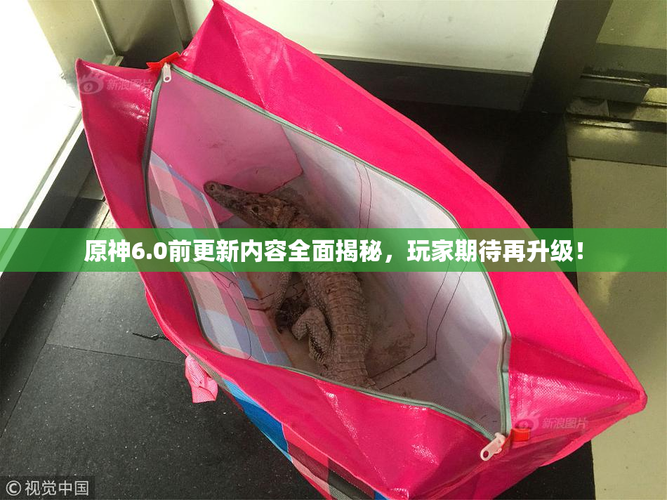 原神6.0前更新内容全面揭秘，玩家期待再升级！