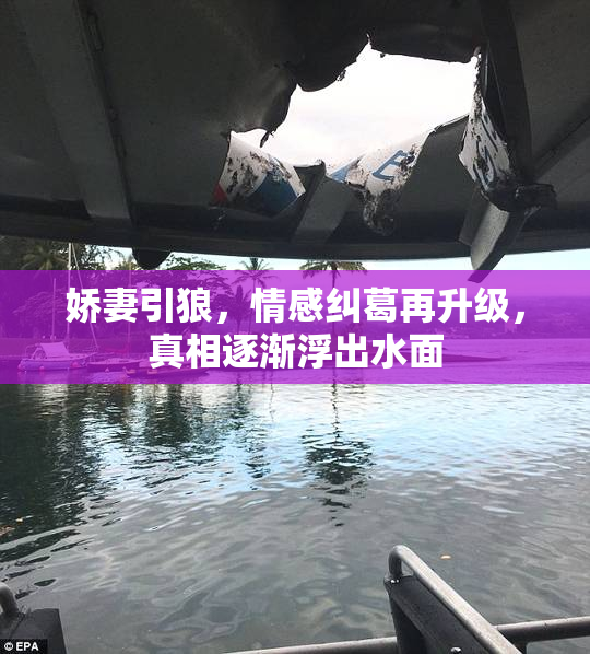 娇妻引狼，情感纠葛再升级，真相逐渐浮出水面