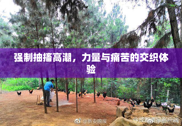 强制抽搐高潮，力量与痛苦的交织体验