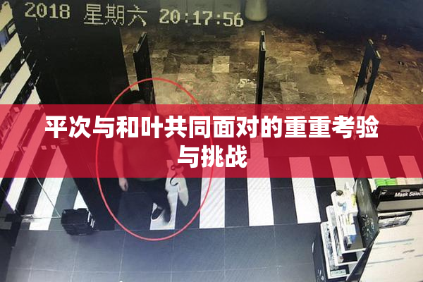 平次与和叶共同面对的重重考验与挑战