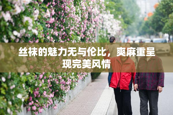 丝袜的魅力无与伦比，爽麻重呈现完美风情