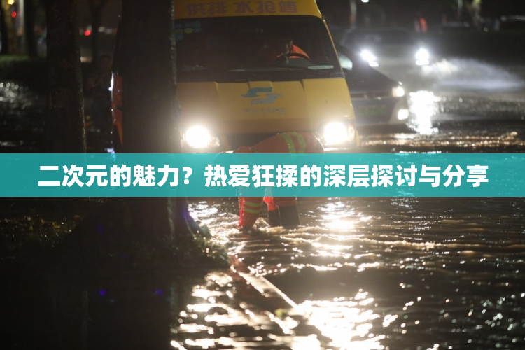 二次元的魅力？热爱狂揉的深层探讨与分享