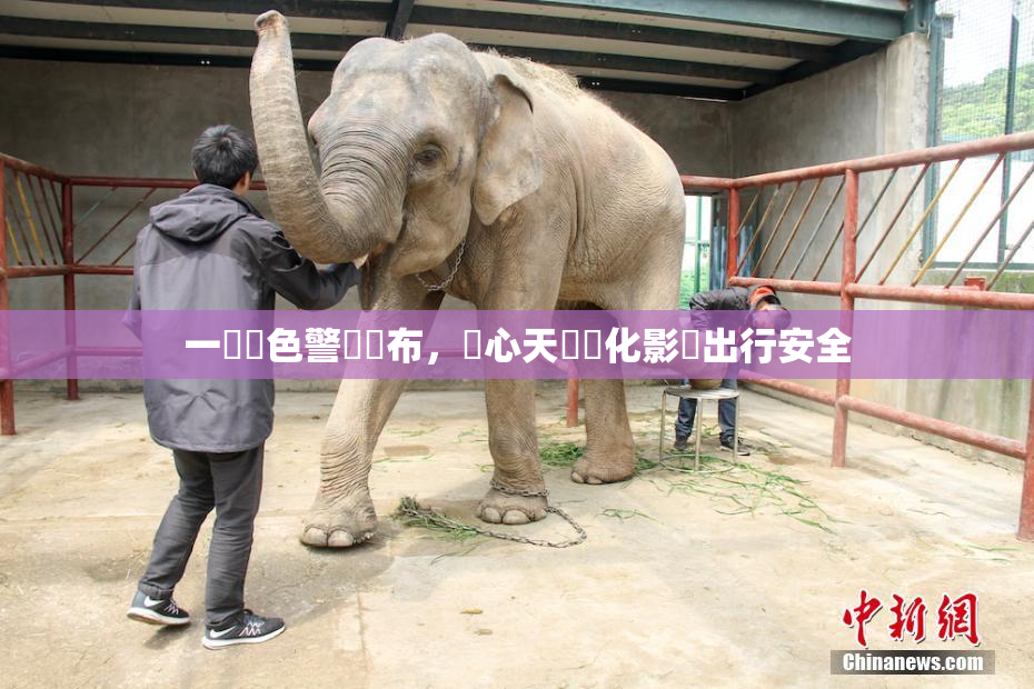 一級黃色警報發布，當心天氣變化影響出行安全
