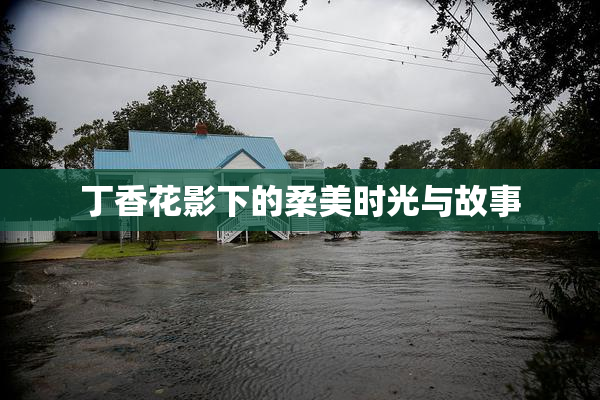 丁香花影下的柔美时光与故事