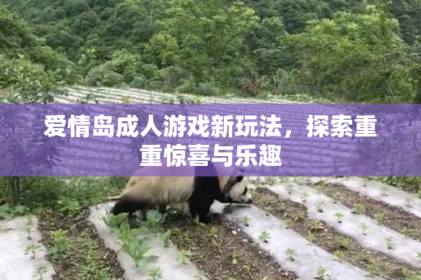 爱情岛成人游戏新玩法，探索重重惊喜与乐趣