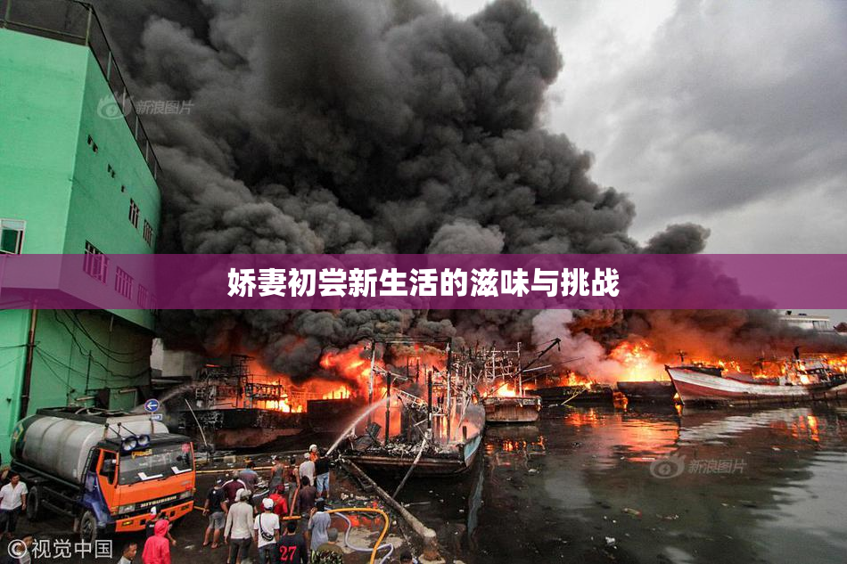 娇妻初尝新生活的滋味与挑战