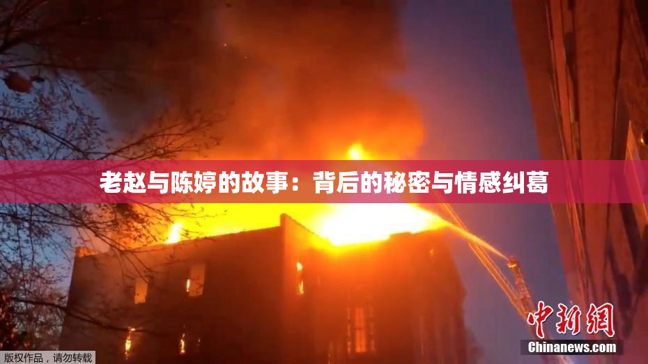 老赵与陈婷的故事：背后的秘密与情感纠葛