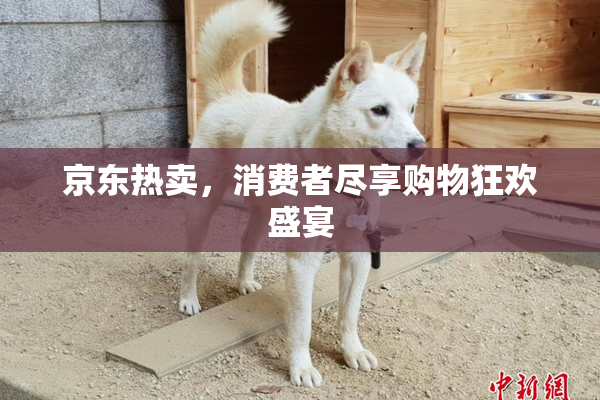 京东热卖，消费者尽享购物狂欢盛宴