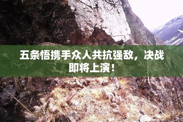 五条悟携手众人共抗强敌，决战即将上演！