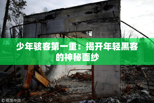 少年骇客第一重：揭开年轻黑客的神秘面纱