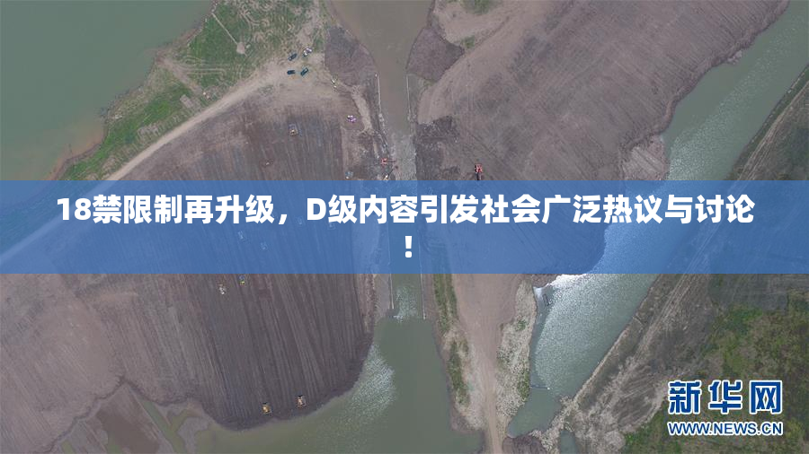 18禁限制再升级，D级内容引发社会广泛热议与讨论！