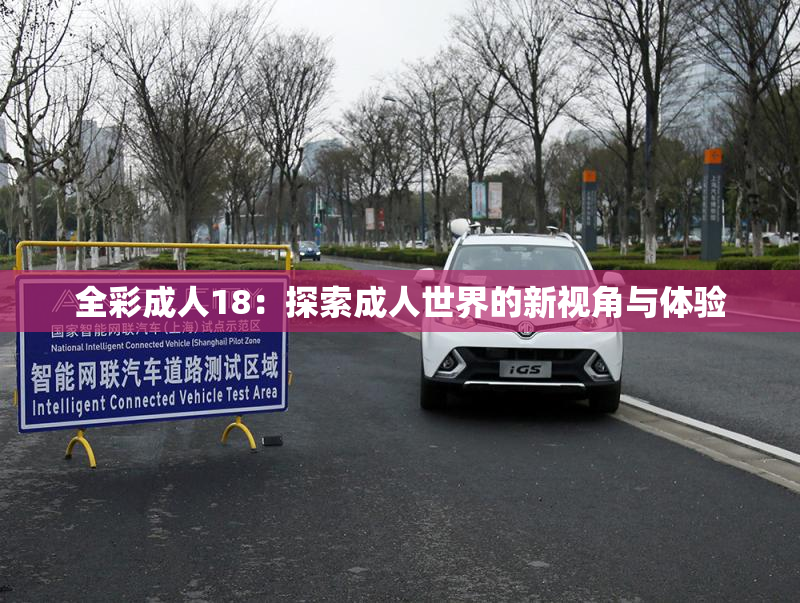 全彩成人18：探索成人世界的新视角与体验
