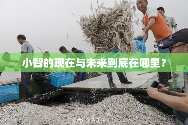 小智的现在与未来到底在哪里？