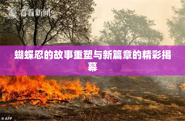 蝴蝶忍的故事重塑与新篇章的精彩揭幕
