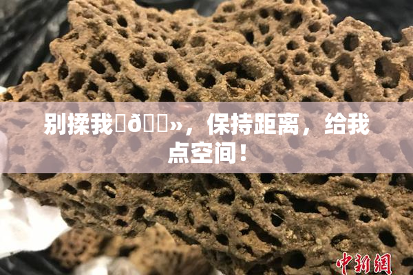 别揉我‌🐻，保持距离，给我点空间！
